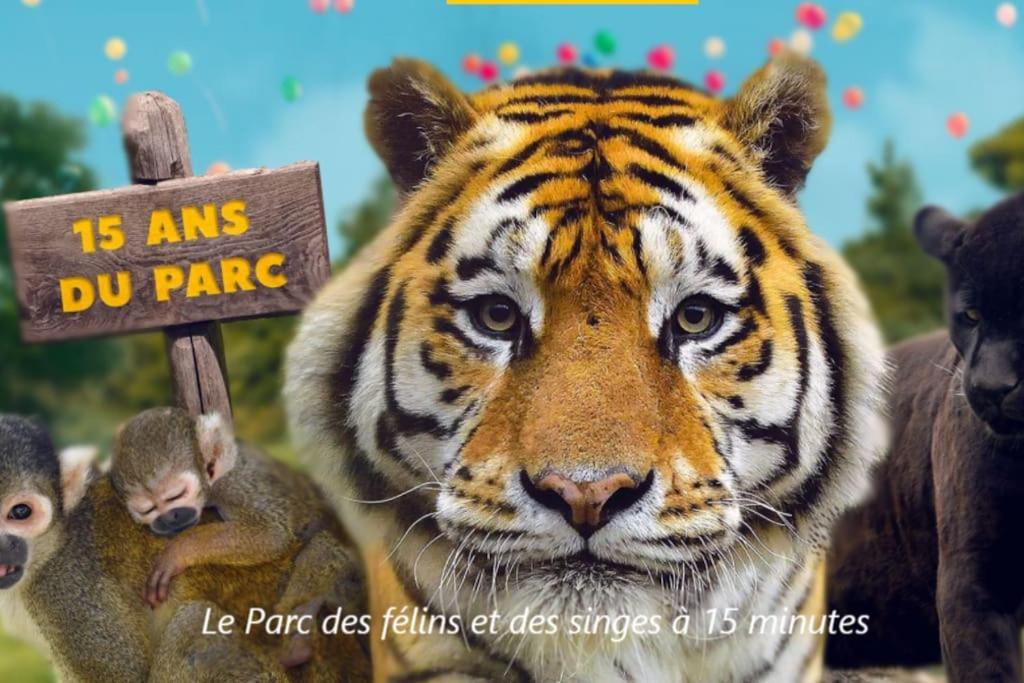 Cocon A La Campagne - Disney 20 Min - Paris 40 Min - 2 Terrasses Dammartin-sur-Tigeaux Екстер'єр фото